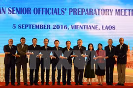 Vietnam attends ASEAN SOM in Philippines