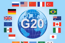 Vietnam active in G20 senior official meeting in Germany 