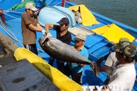 Agro-forestry-fishery exports hit 17.1 billion USD in six months