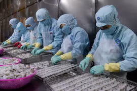 Seafood export value estimated at 844 million USD early 2017