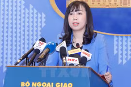 China asked to respect Vietnam’s sovereignty over Hoang Sa
