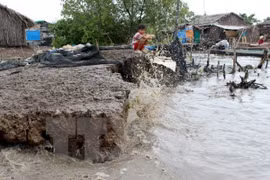 Ca Mau tackles climate change
