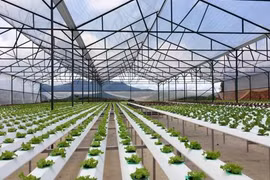 First national forum discusses organic farming 
