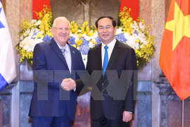 Vietnamese, Israeli Presidents hold talks 