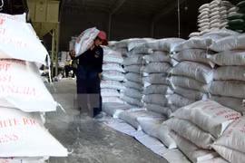 Small rice export businesses to get support from new decree