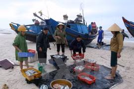 MARD: Marine environment in central region becomes stable