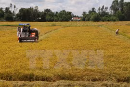 FAO pledges continuous support for Vietnam 