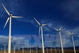Vietnam, RoK enhance energy cooperation