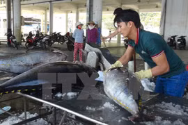 Nearly 165 billion VND for fisheries restructuring in 2017-2020