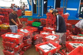 Ministry takes actions in response to EU’s warning of IUU fishing