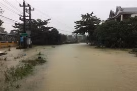 Russia offers 5 mln USD aid to Vietnam in flood recovery 