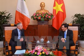 Vietnam, Ireland enhance multifaceted cooperation