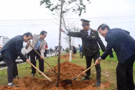 Thua Thien-Hue strives for forest coverage of 57 percent this year
