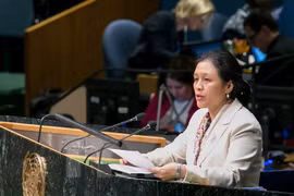 Vietnam backs two-state solution for Israel-Palestine conflict