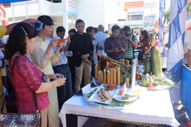 Gia Lai week of culture, cuisine and horserace opens