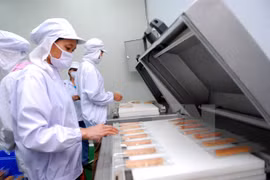 Thai Binh attracts many investment projects in agriculture