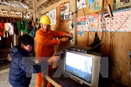 Electricity of Vietnam to gauge consumer satisfaction