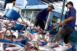 Fishery output hits 1.6 million tones in H1