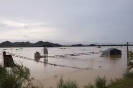 Floods reach 40-year historic levels in many northern rivers 