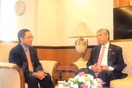 Malaysian Deputy PM highlights cooperation potential with Vietnam
