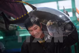 Farmed seafood exports likely to hit 30-35 billion USD by 2030