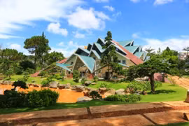 Red maple tourist area blooms open in Da Lat