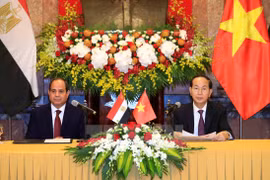  Vietnamese, Egyptian Presidents seek stronger cooperation 