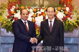 Vietnamese, Egyptian Presidents hold talks