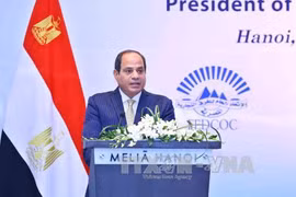 Vietnamese, Egyptian firms explore cooperation opportunities