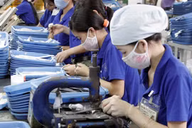 HCM City’s industrial production index rises 7.51 percent 
