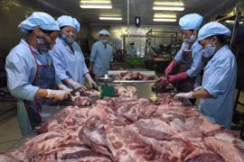 Vietnam, Denmark share experience in food safety