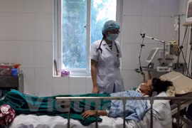 Dengue fever booms in summer