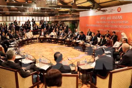 Chair of APEC-ASEAN Leaders' Informal Dialogue issues press statement