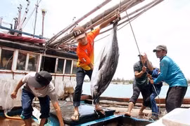 Nghe An develops offshore fishing ships