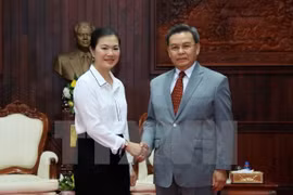 Vietnamese, Lao front agencies boost cooperation 