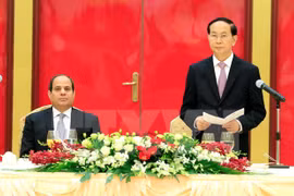 Egypt willing to enhance ties with Vietnam: President 