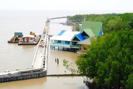 Experts seek to enhance water security in Mekong Delta 