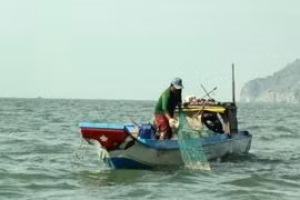 Vietnam seafood mulls action on EU warning