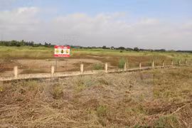 Infrastructure built to tackle dioxin contamination at Bien Hoa airport