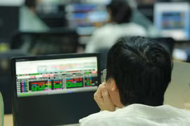 Shares gain on VN-US business deal