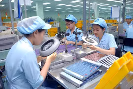 HCM City economy remains on track: meeting