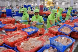 All catfish shipments to US subject to examination