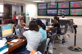 Vinamilk drives up the VN-Index 