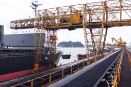 Coal consumption improves in Q1 