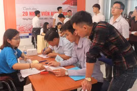 HCM City: Private sector needs most labourers