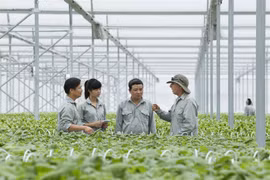 Vietnam seeks global help to lift agriculture sector