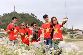 Dong Van looks to become best tourism site in north