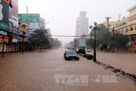 Vietnam Red Cross prepares for stormy season of 2017