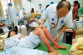Dengue fever treatment remains weak: official