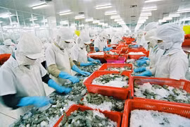 Seafood export turnover expected to hit 8.3 billion USD